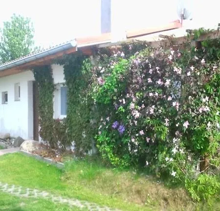 Apartamento Drifthof - Oswald Joachimi *